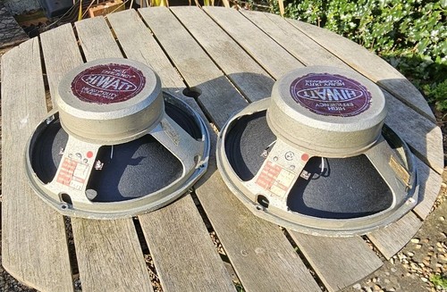 Pair hiwatt fane guitar - pair,