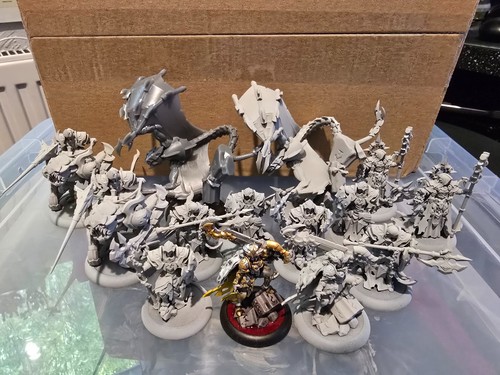Warmachine fane nyrro 2x - of, nyrro: